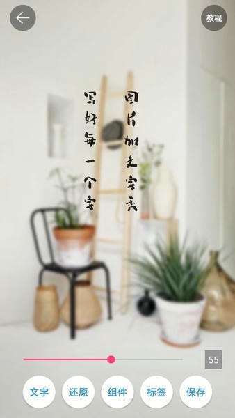 图片加文字秀截图1
