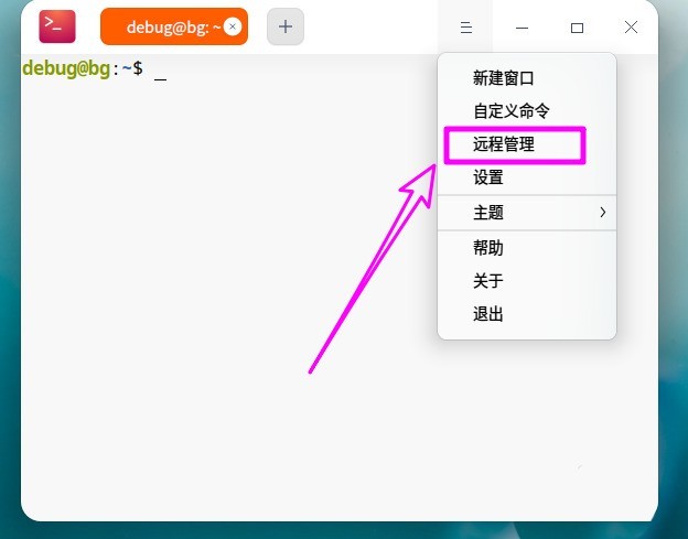 分享deepin20终端怎么远程管理服务-deepin20教程。