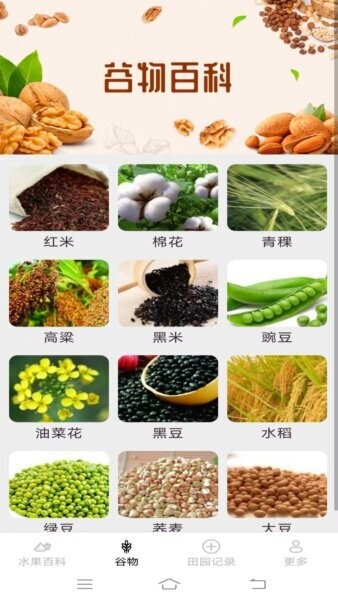 掌上果果多截图2