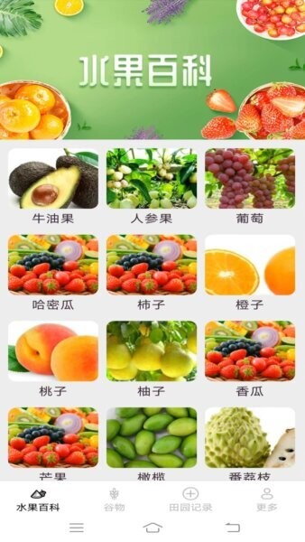 掌上果果多截图1