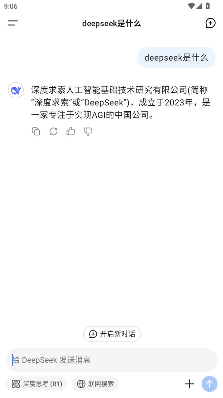 DeepSeek官方手机版2025截图2