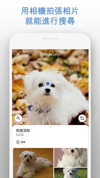 Google搜索截图1