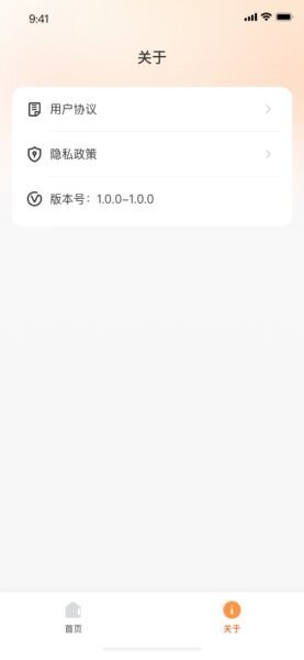 小柚投屏截图4