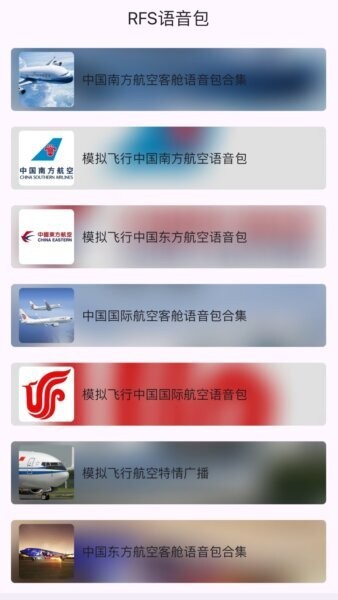 模拟飞行语音包免费版截图4