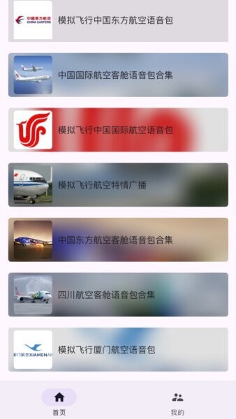 模拟飞行语音包免费版截图1