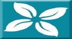 教你新商盟网上订烟系统怎样订烟 新商盟网上订烟系统订烟教程。