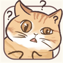 挤在一起的猫猫最新版 挤在一起的猫猫最新版