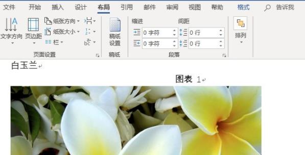 分享word图片怎么设置统一大小-word图片设置统一大小方法。